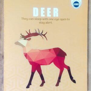 Lohpath Notebook 236 pages, bundle of 6 notebooks